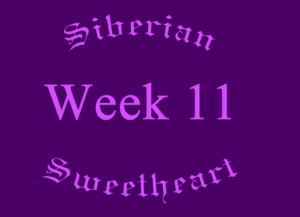 Week-11