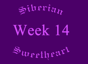 Week-14